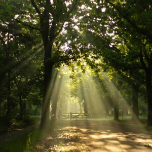 Fast Start - Ukojenie Teraz